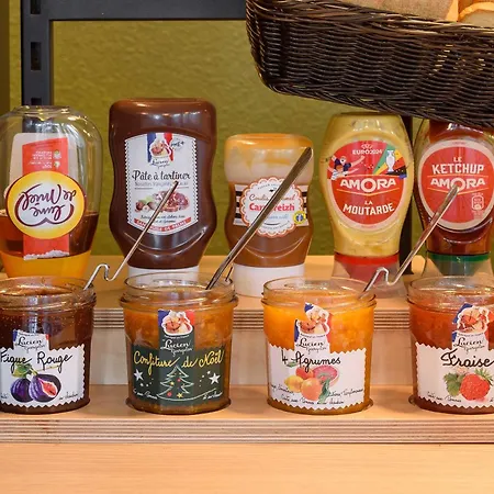 Hotel Cite De L'espace Hurel Toulouse